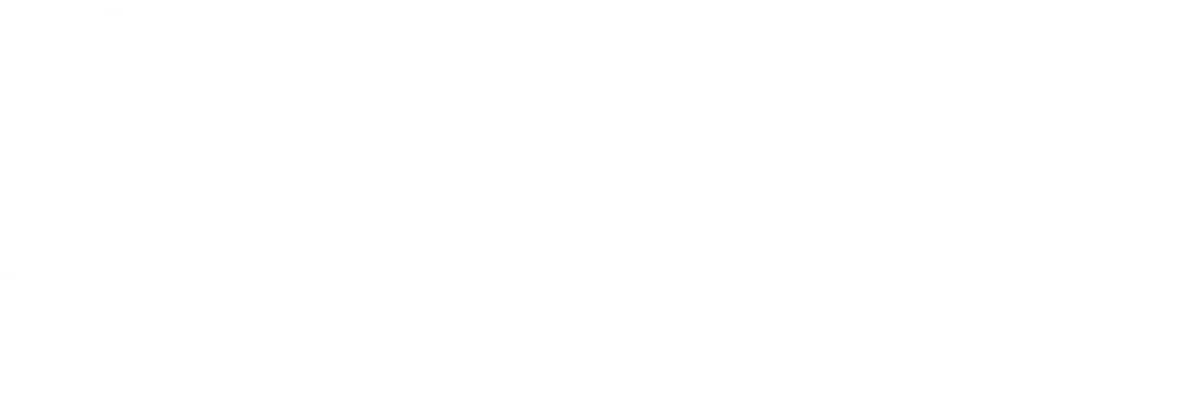 pago por spei