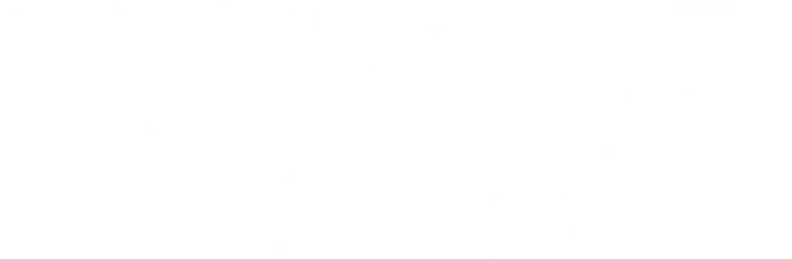 pago por visa
